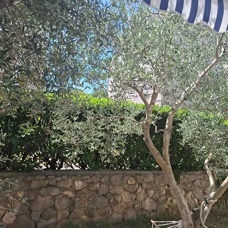 Danijela *
