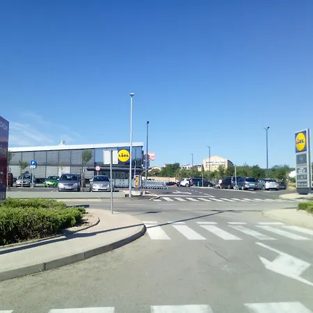 Danijela *
